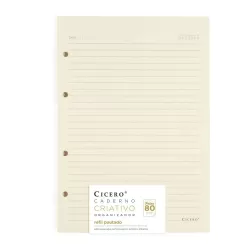 REFIL PAUTADO FICHARIO 17x24 80G