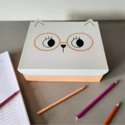 Caixa de Aço p/ Acessórios Mimi Óculos