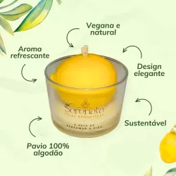 VELA FRUTA SORTIDA 100G